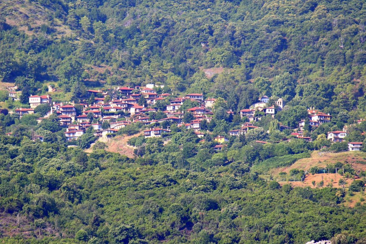 Ktima Garas Daire Paralia Panteleimonos Dış mekan fotoğraf